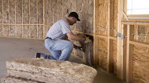 Best Insulation Removal  in Linden, MI