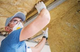 Best Spray Foam Insulation  in Linden, MI