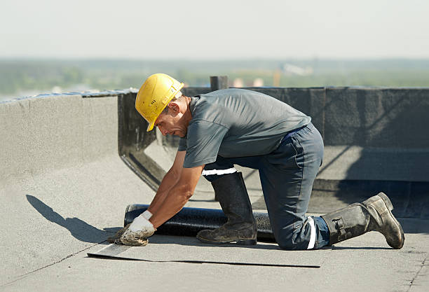 Best Attic Insulation Installation  in Linden, MI