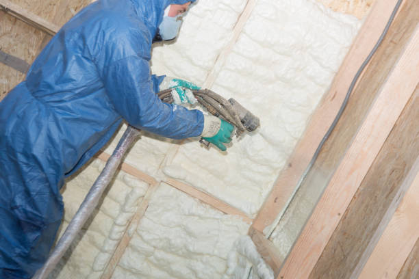 Types of Insulation We Offer in Linden, MI