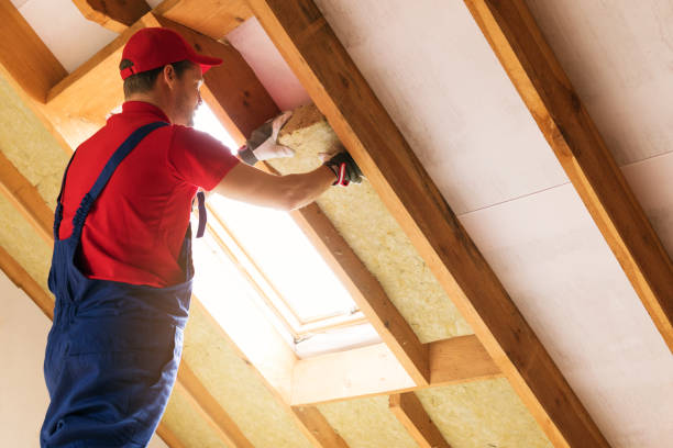 Best Radiant Barrier Insulation  in Linden, MI